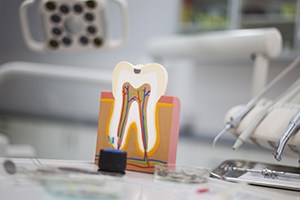 Model of the inside of a healthy tooth